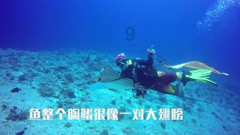 僵尸维京