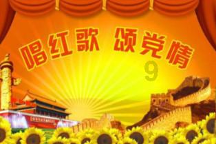 影像旗舰对决,荣耀Magic6系列为何能成为佼佼者?