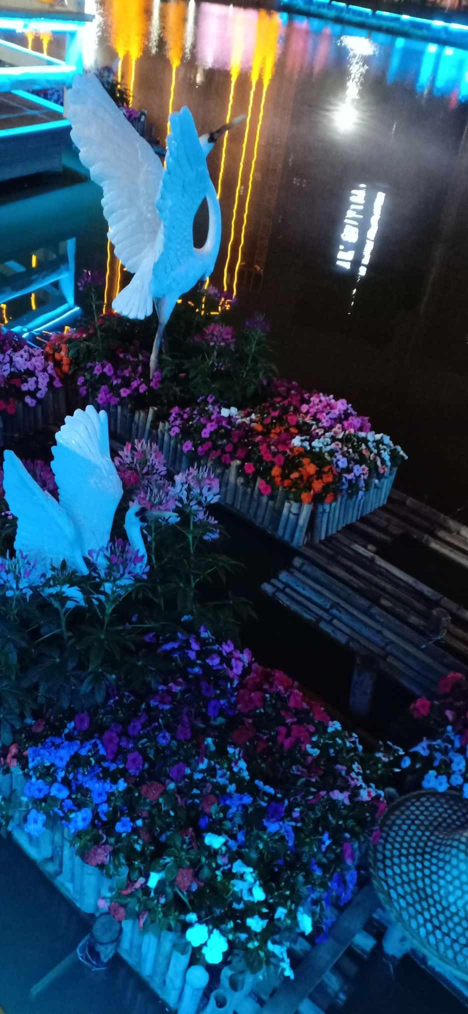 长林王府的扶持,萧元时能掌握朝堂吗?